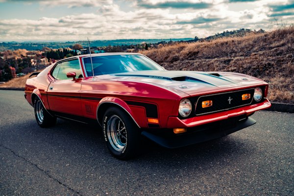 Mustang